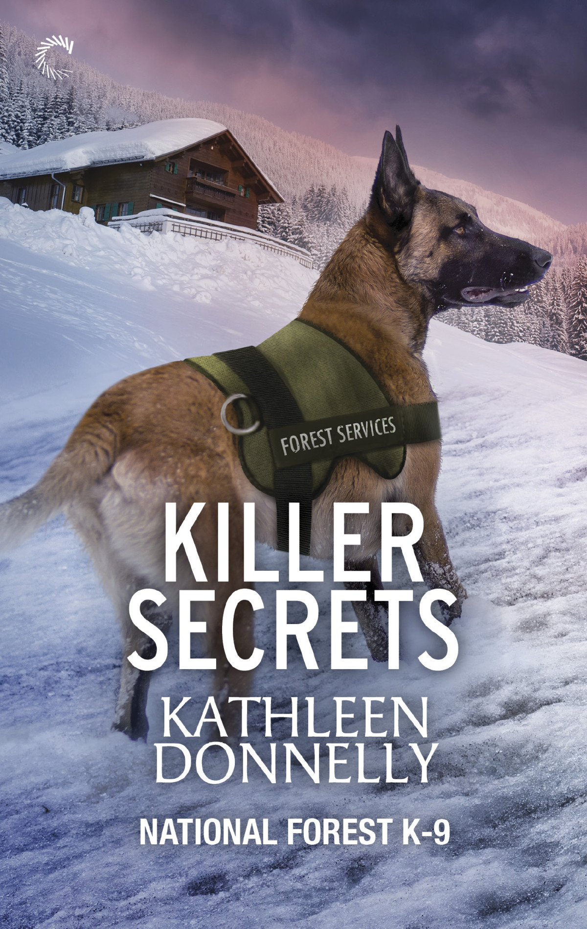 Killer Secrets Kathleen Donnelly