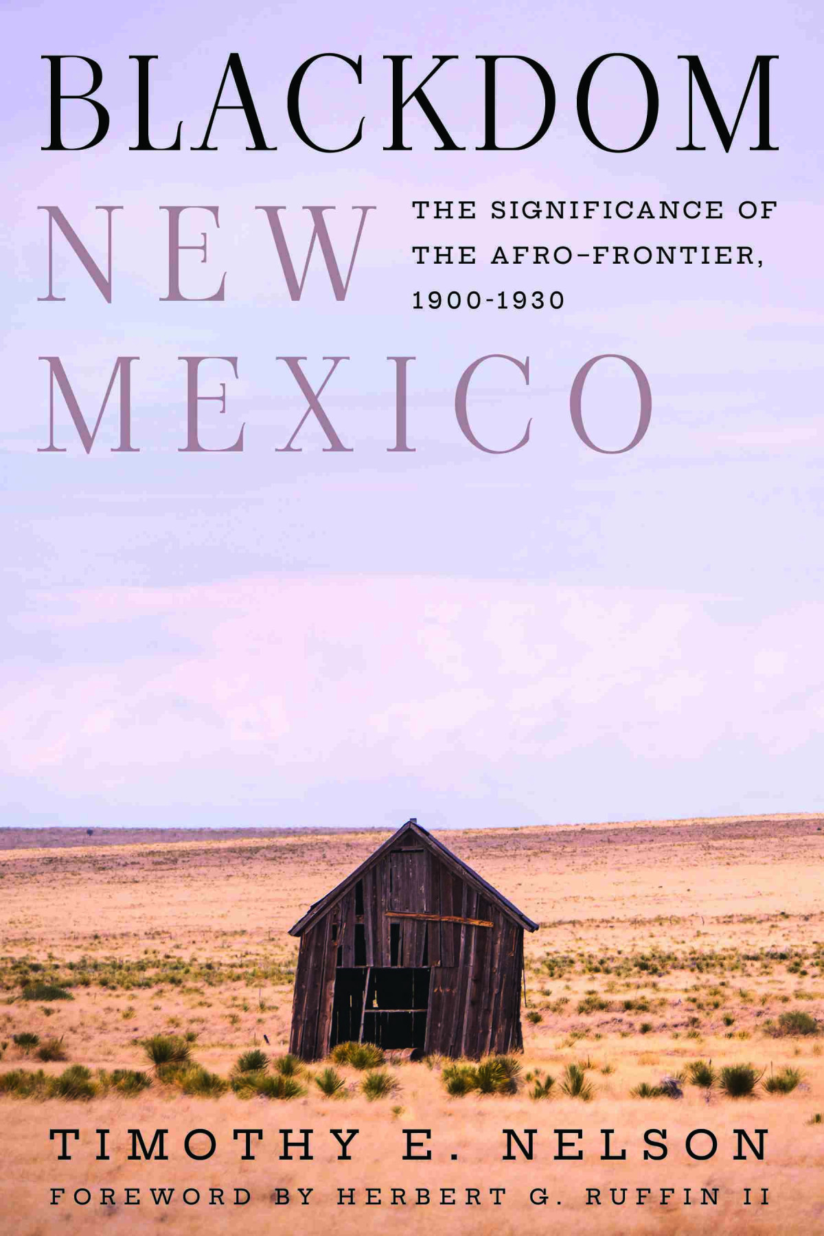 Blackdom New Mexico The Significance Of The Afrofrontier 19001930 Timothy E Nelson