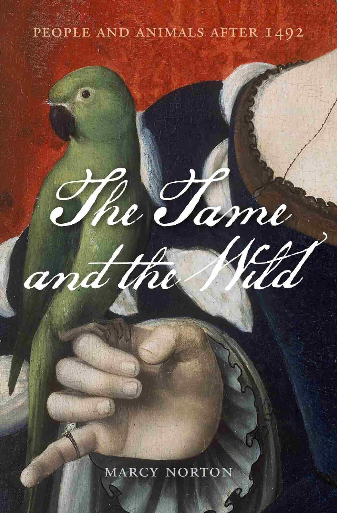 The Tame And The Wild Marcy Norton
