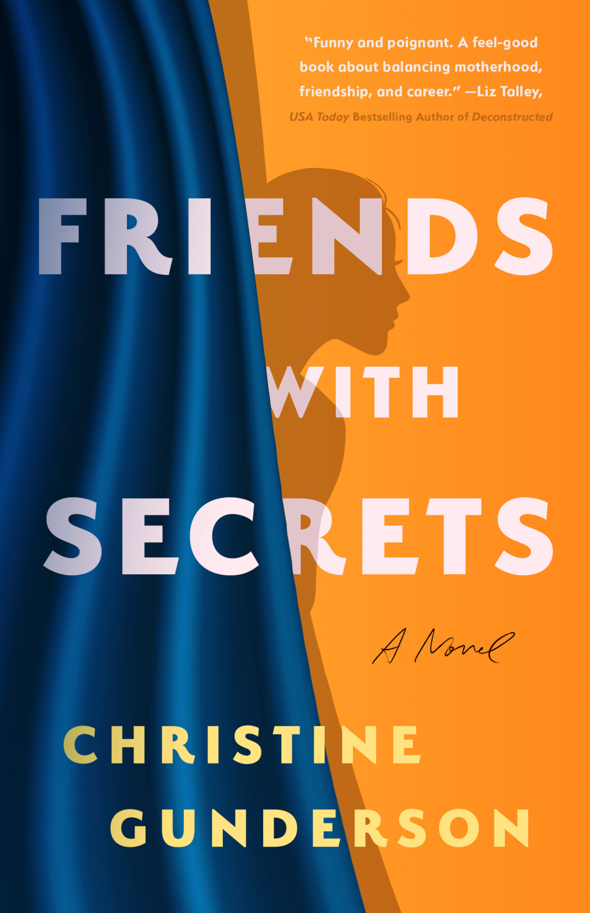 Friends With Secrets A Novel Gunderson Christine