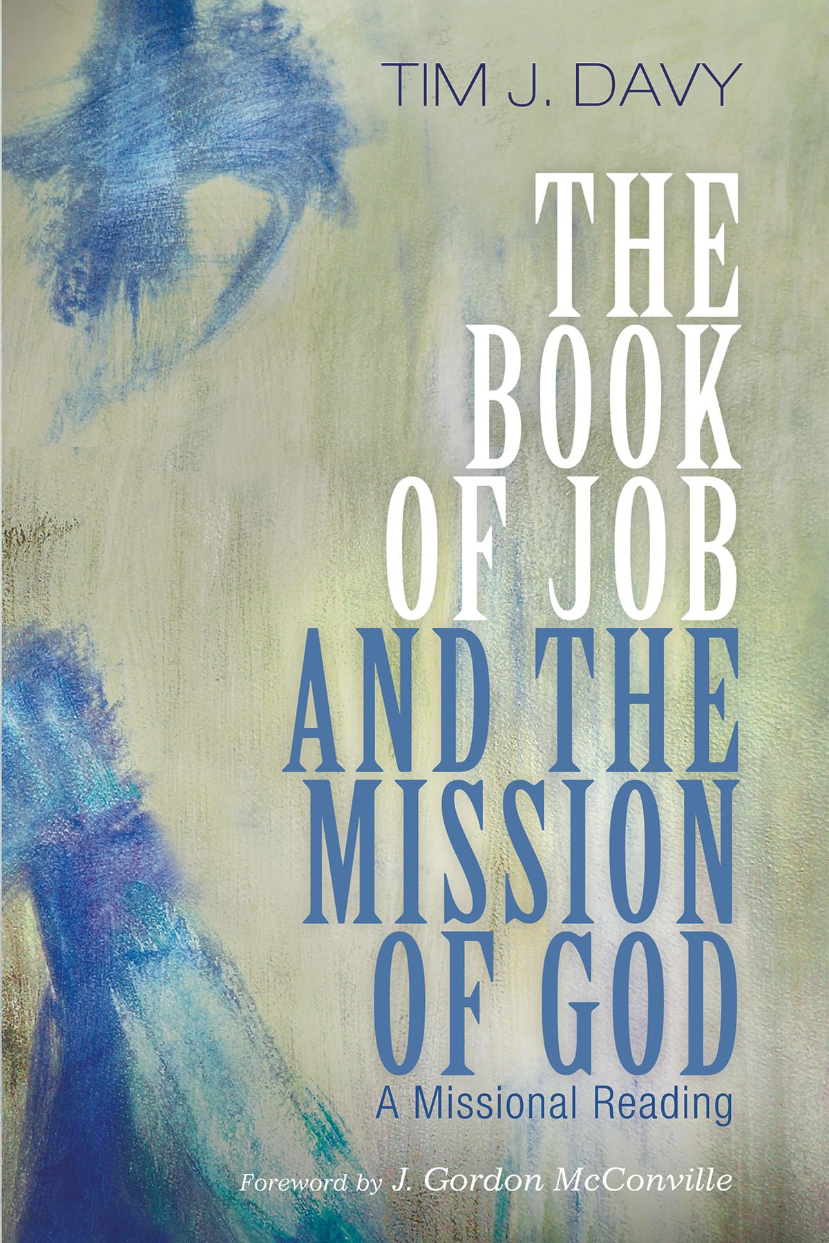 The Book Of Job And The Mission Of God Tim J Davy