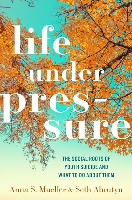 Life Under Pressure The Social Roots Of Youth Suicide And What To Do About Them Anna S Mueller