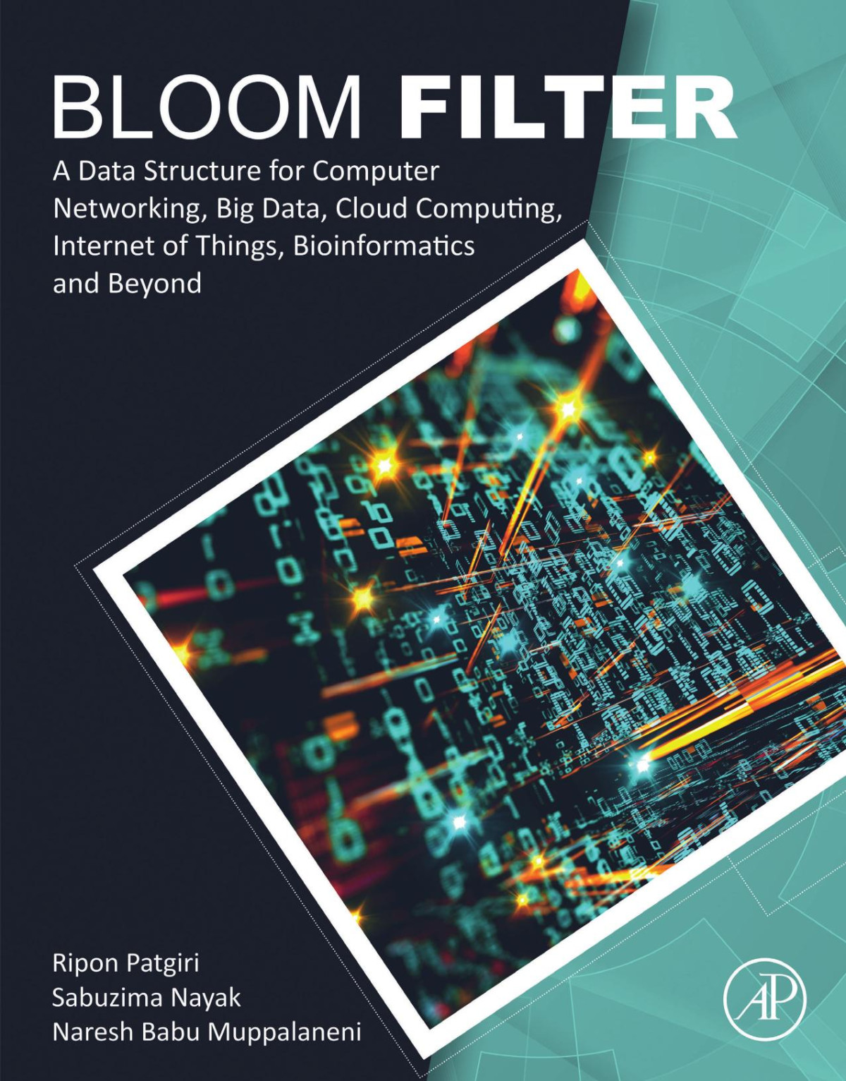Bloom Filter A Data Structure For Computer Networking Big Data Cloud Computing Internet Of Things Bioinformatics And Beyond Patgiri