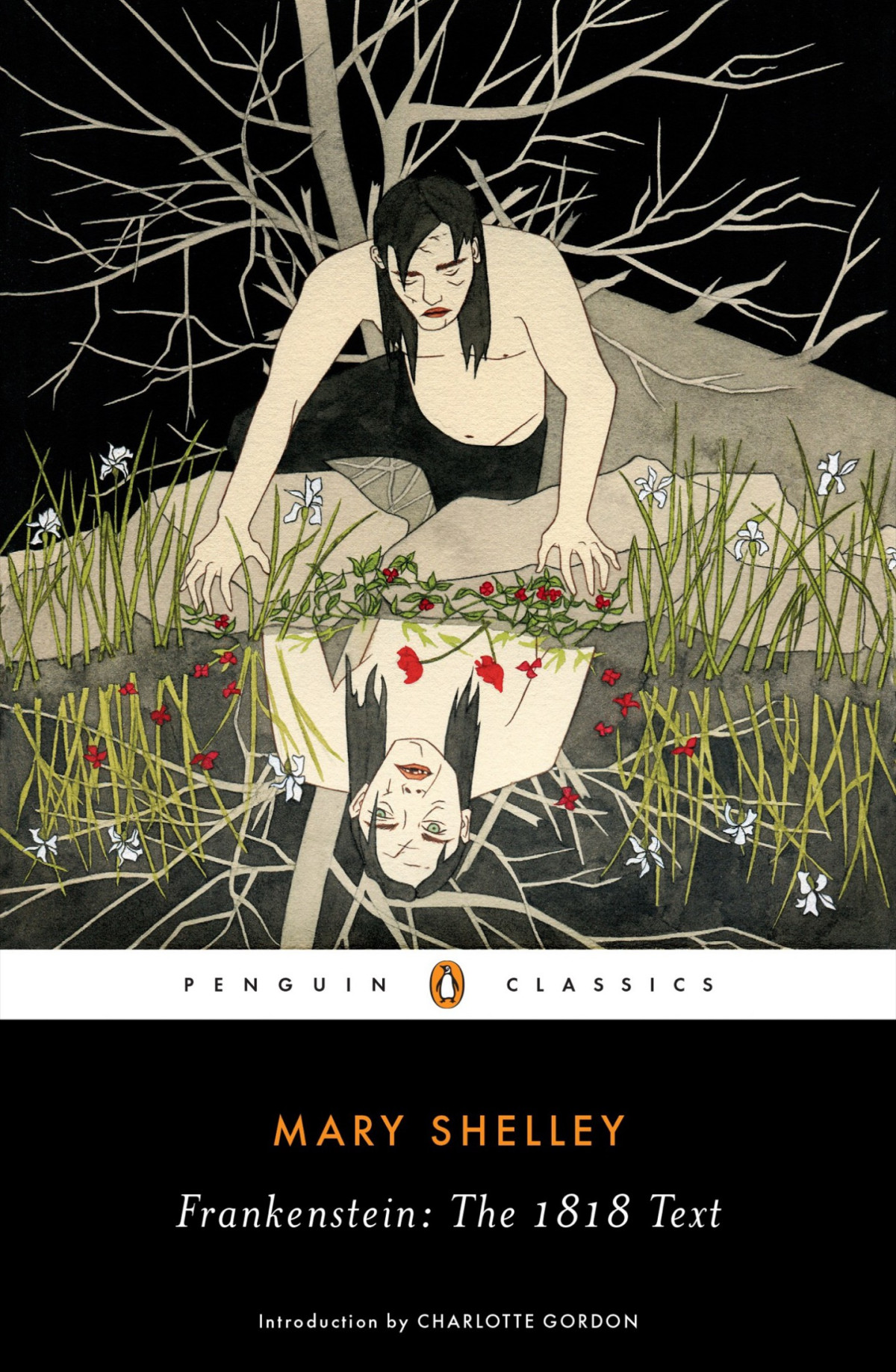 Frankenstein The 1818 Text Mary Shelley