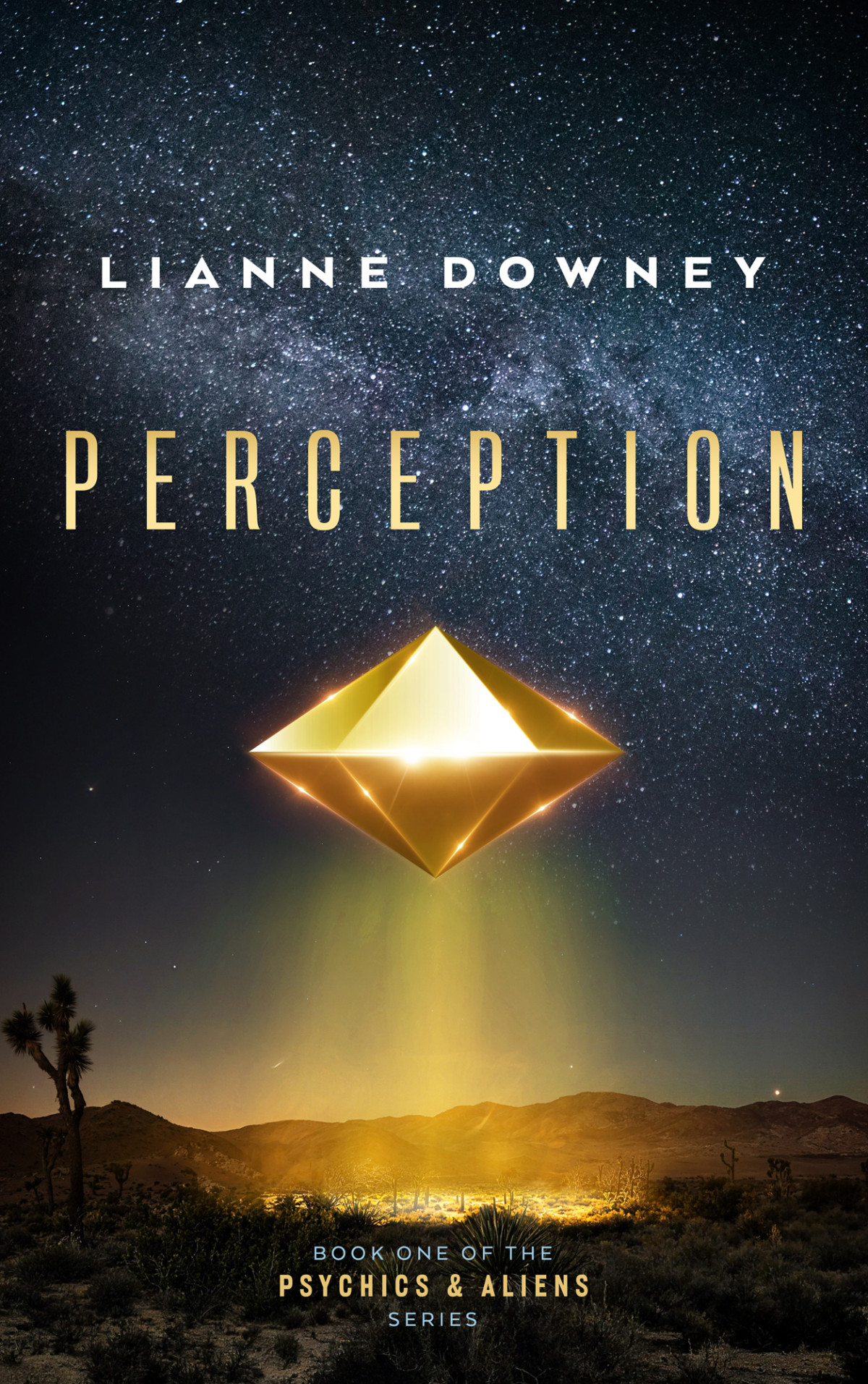 Perception Lianne Downey