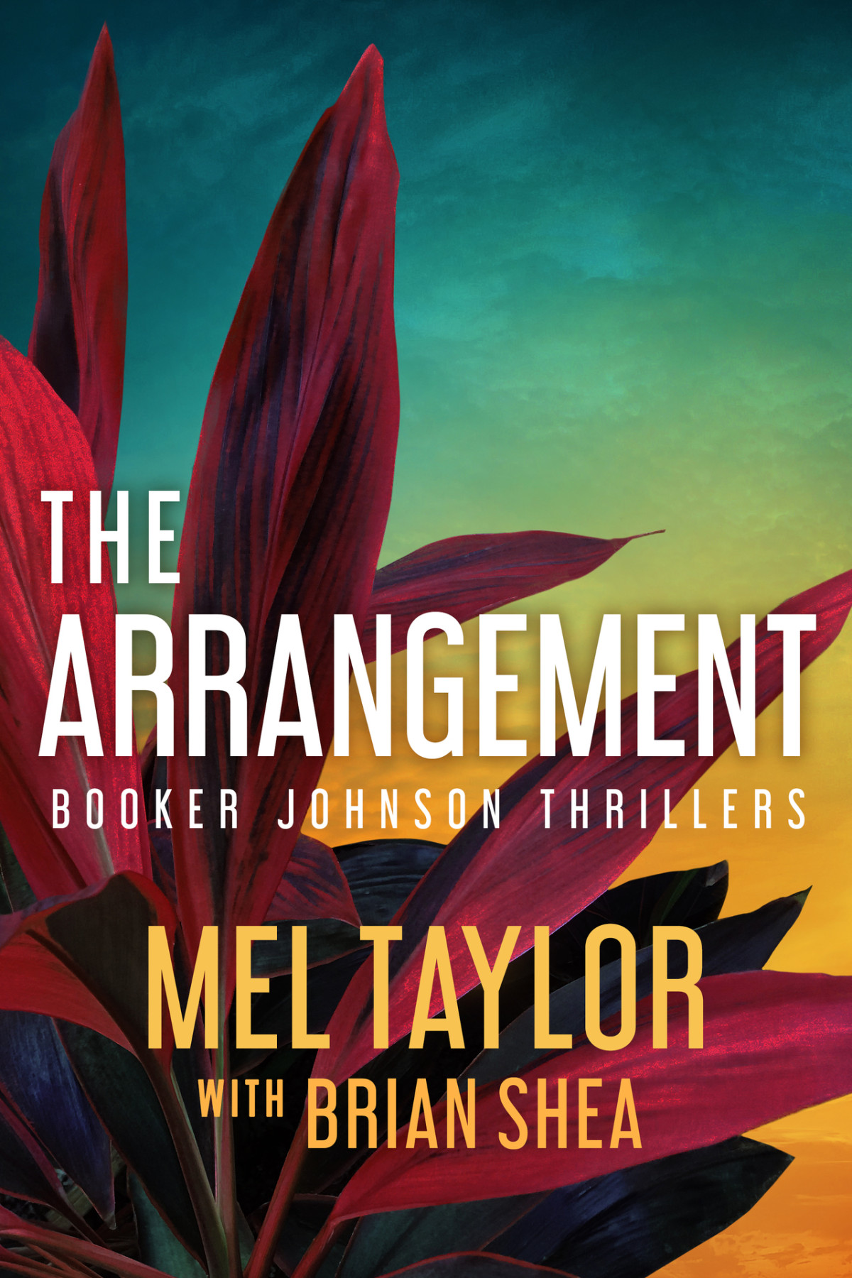 The Arrangement Booker Johnson Thrillers Book 2 Mel Taylor Brian Shea