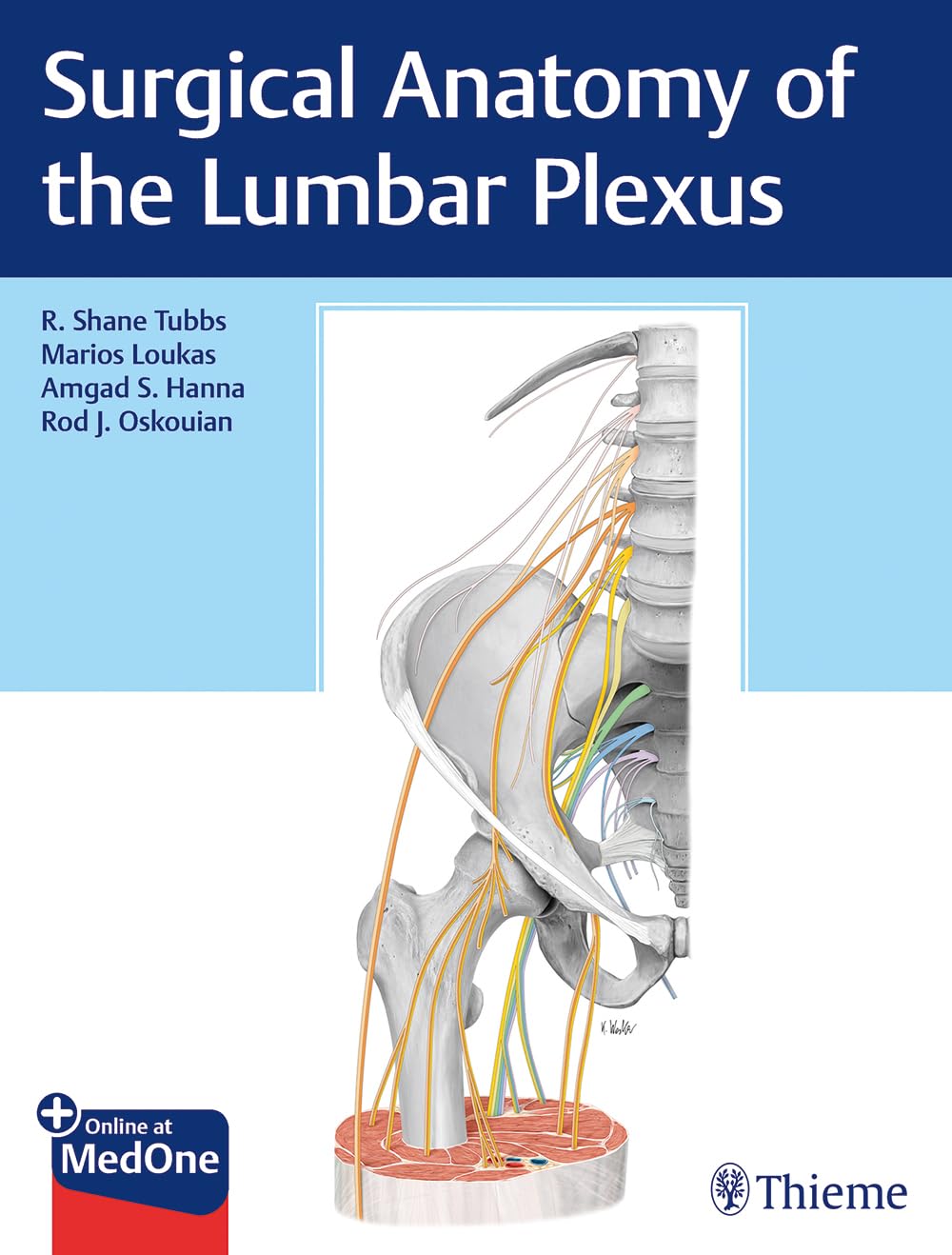 Surgical Anatomy Of The Lumbar Plexus Sep 5 20181626238898thiemepdf 1st Edition R Shane Tubbs