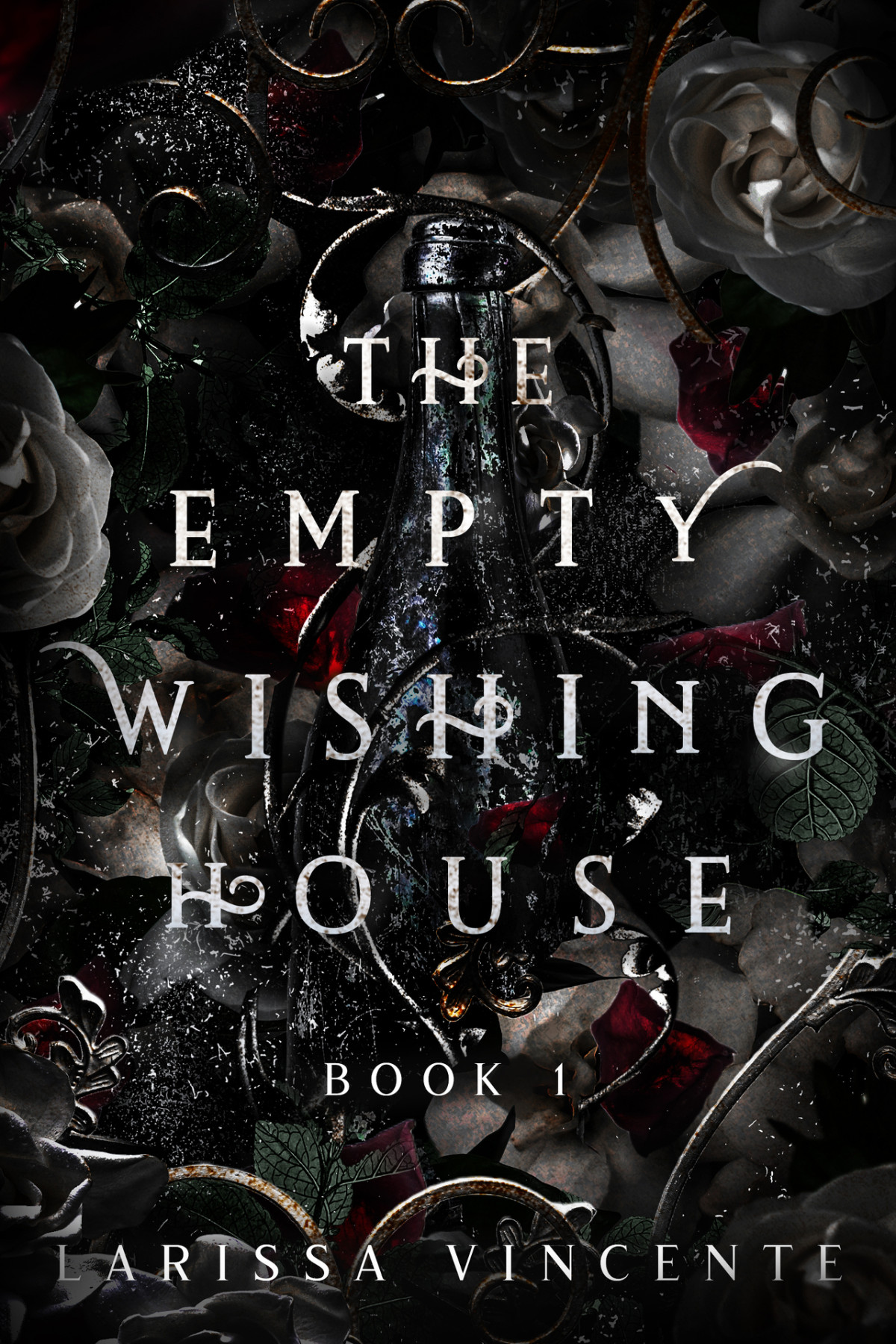 The Empty Wishing House The Empty Wishing House Book 1 Larissa Vincente