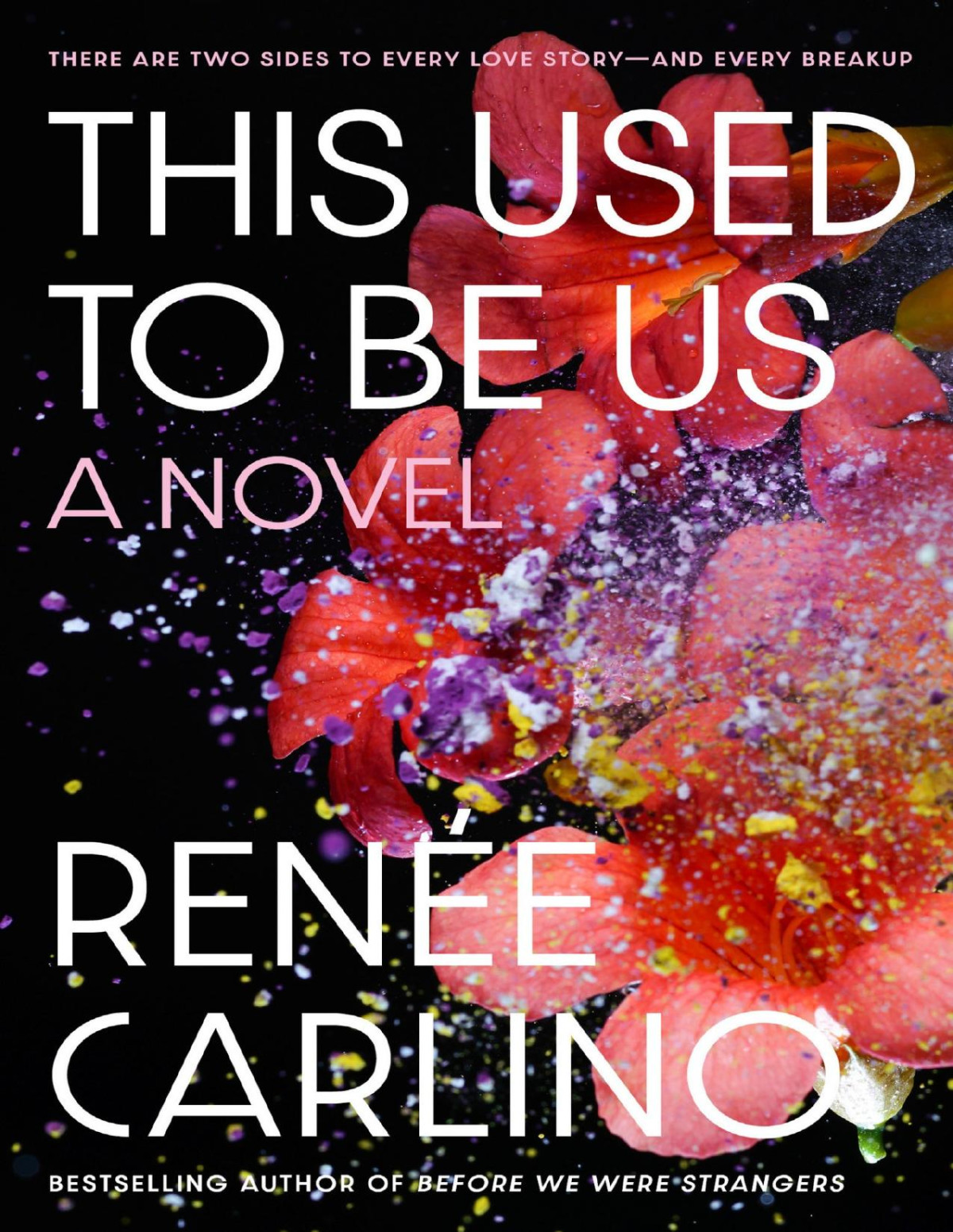 This Used To Be Us Rene Carlino
