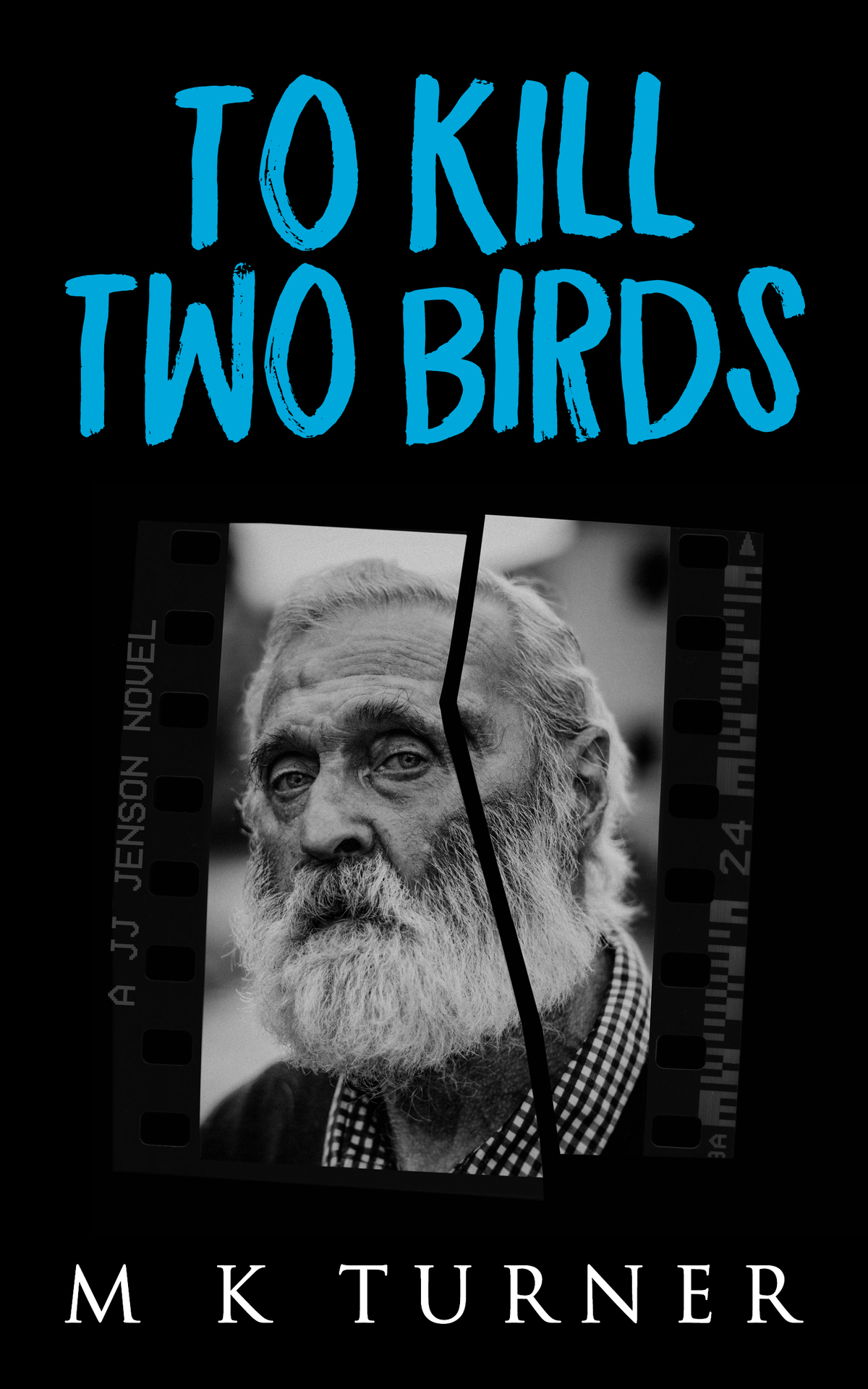 To Kill Two Birds M K Turner