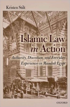 Islamic Law In Action Authority Discretion And Everyday Experiences In Mamluk Egypt 1st Edition Stilt