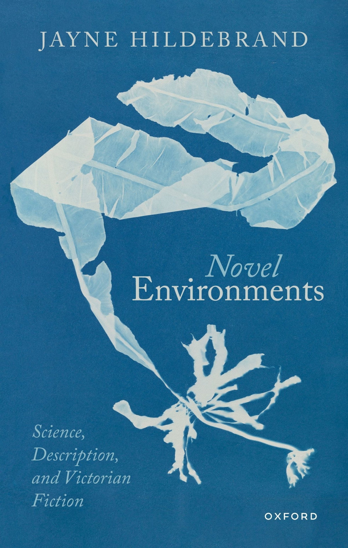 Novel Environments Science Description And Victorian Fiction Jayne Hildebrand