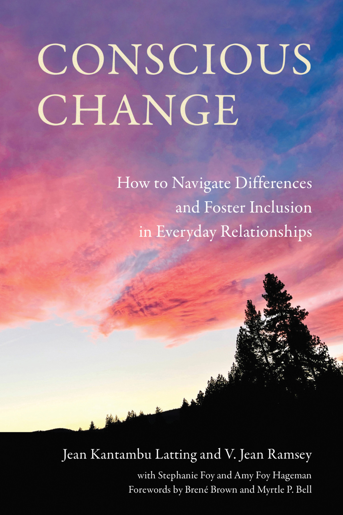 Conscious Change How To Navigate Differences And Foster Inclusion In Everyday Relationships Jean Kantambu Latting