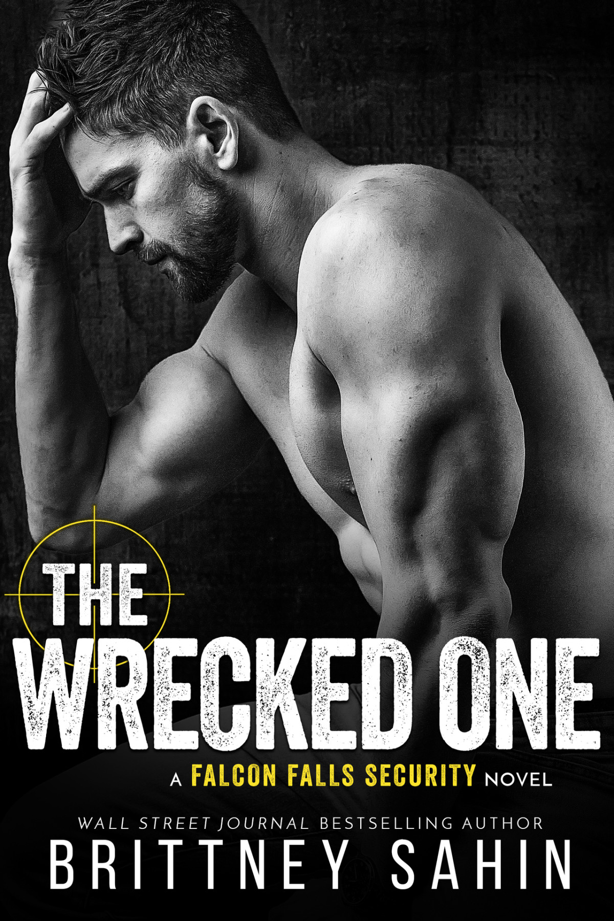 The Wrecked One Falcon Falls Security Brittney Sahin