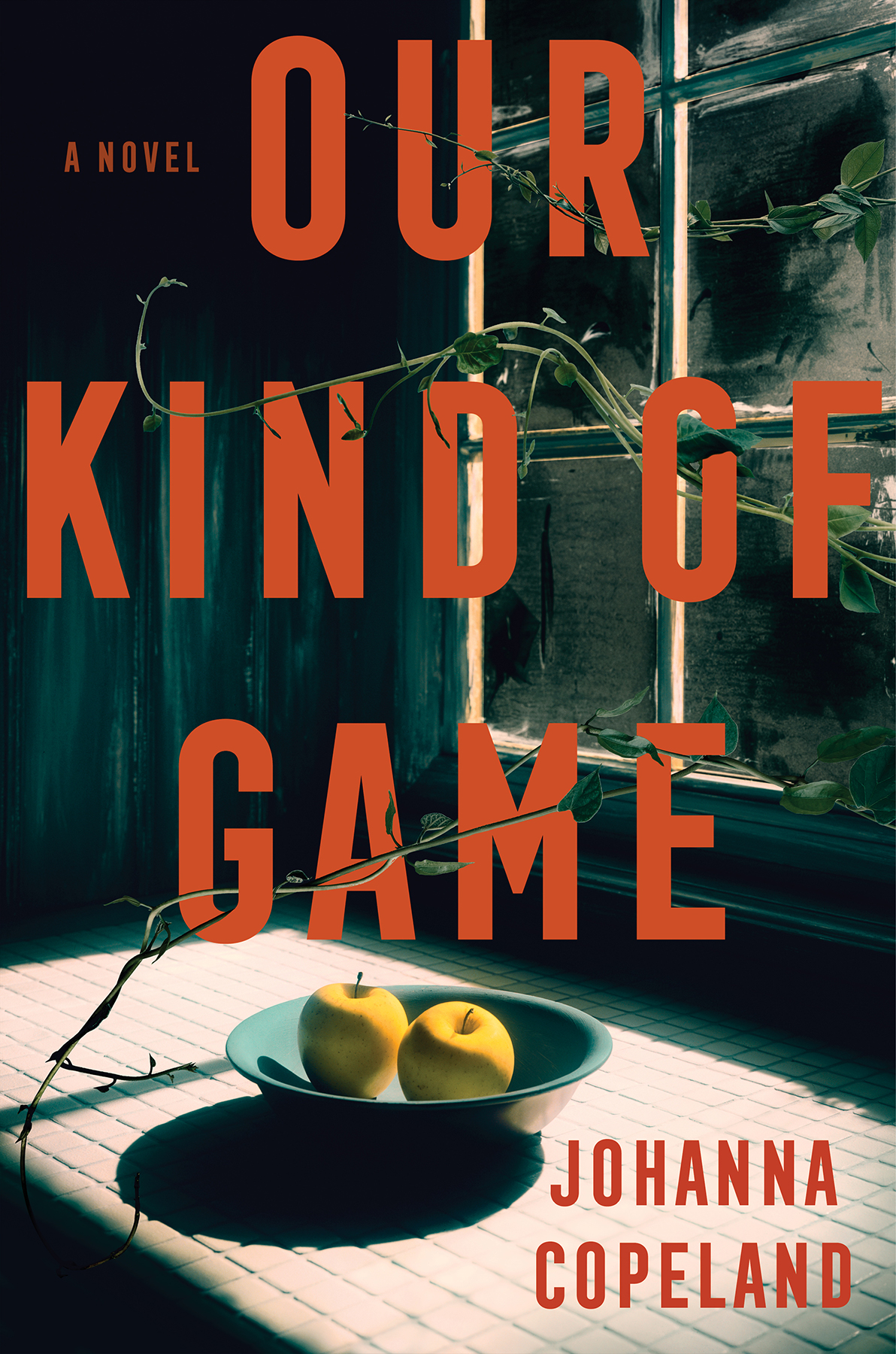 Our Kind Of Game A Novel Johanna Copeland