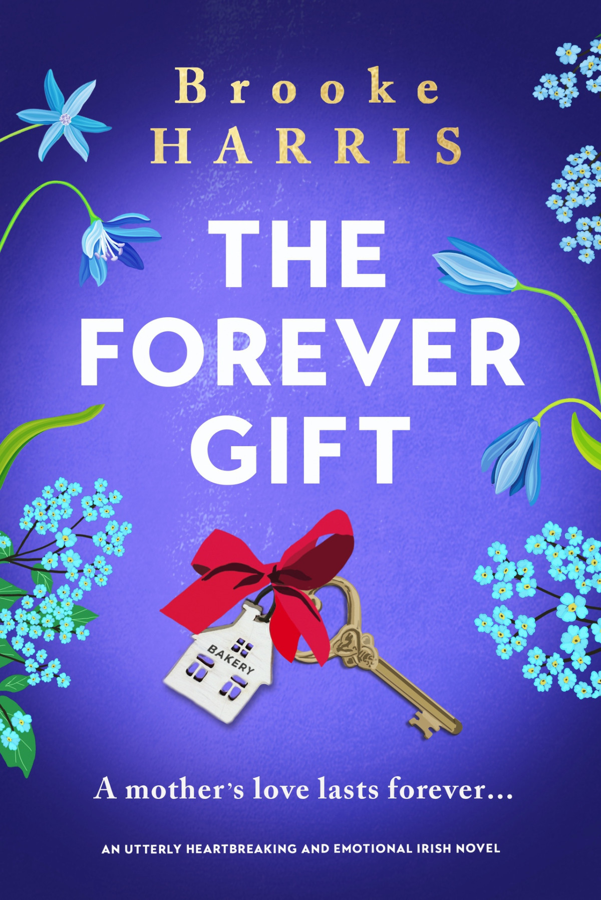 The Forever Gift An Utterly Heartbreaking And Emotional Irish Novel Brooke Harris