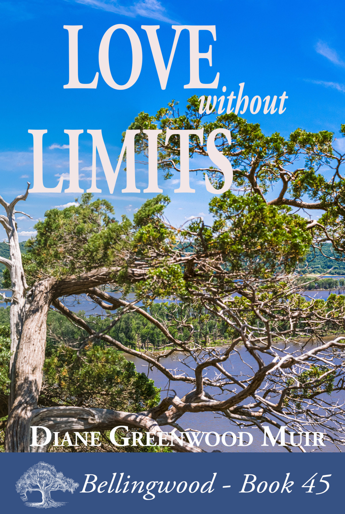 Love Without Limits Bellingwood Book 45 Diane Greenwood Muir