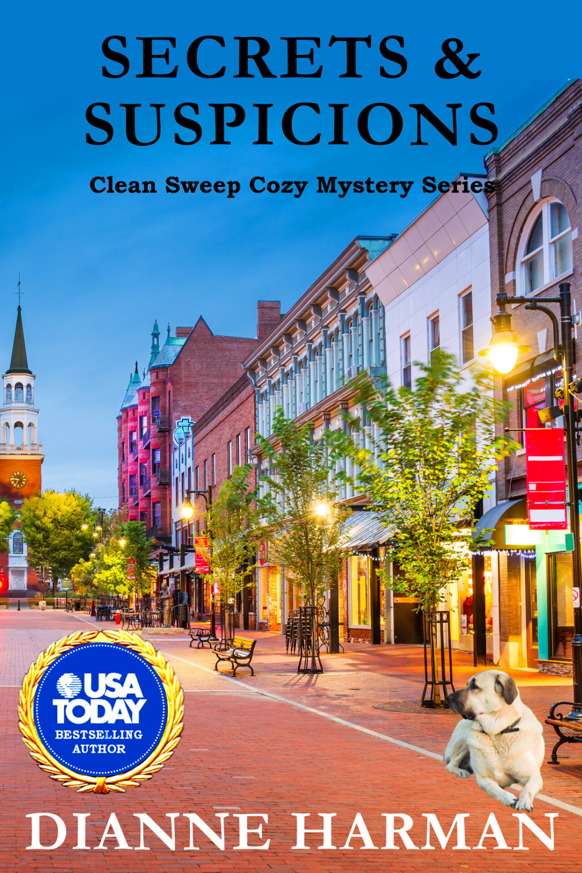Secrets Suspicions A Clean Sweep Cozy Mystery Clean Sweep Cozy Mysteries Book 6 Dianne Harman