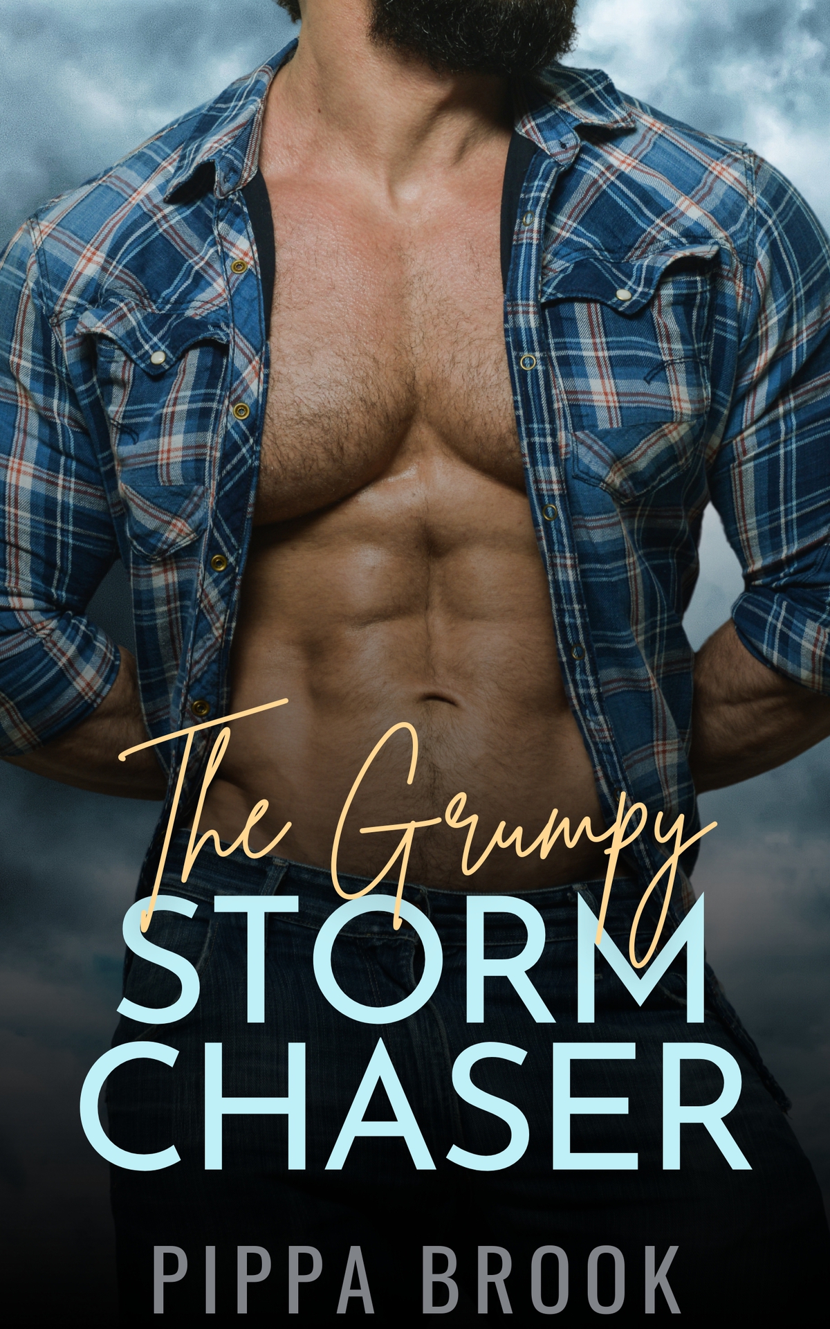 The Grumpy Storm Chaser Love In A Storm Book 1 Pippa Brook
