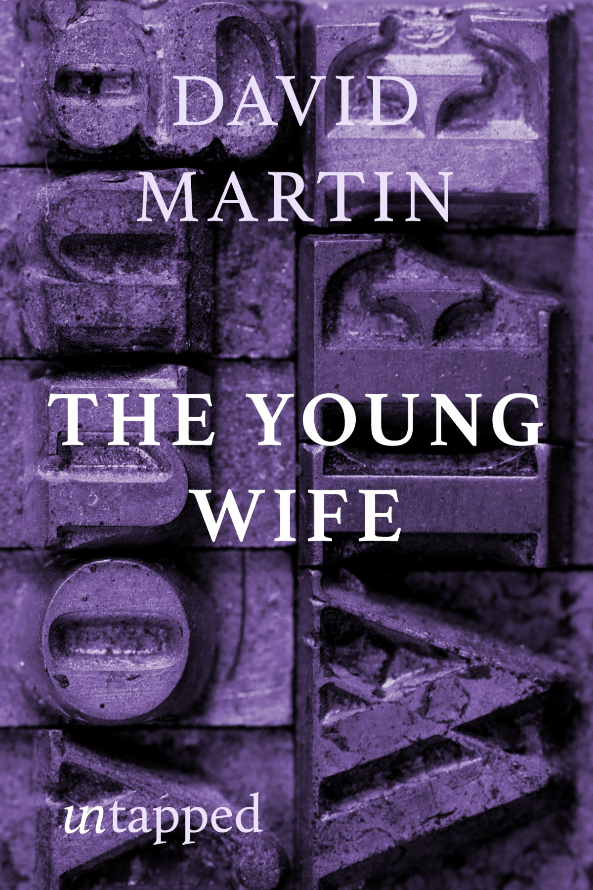 The Young Wife David Martin