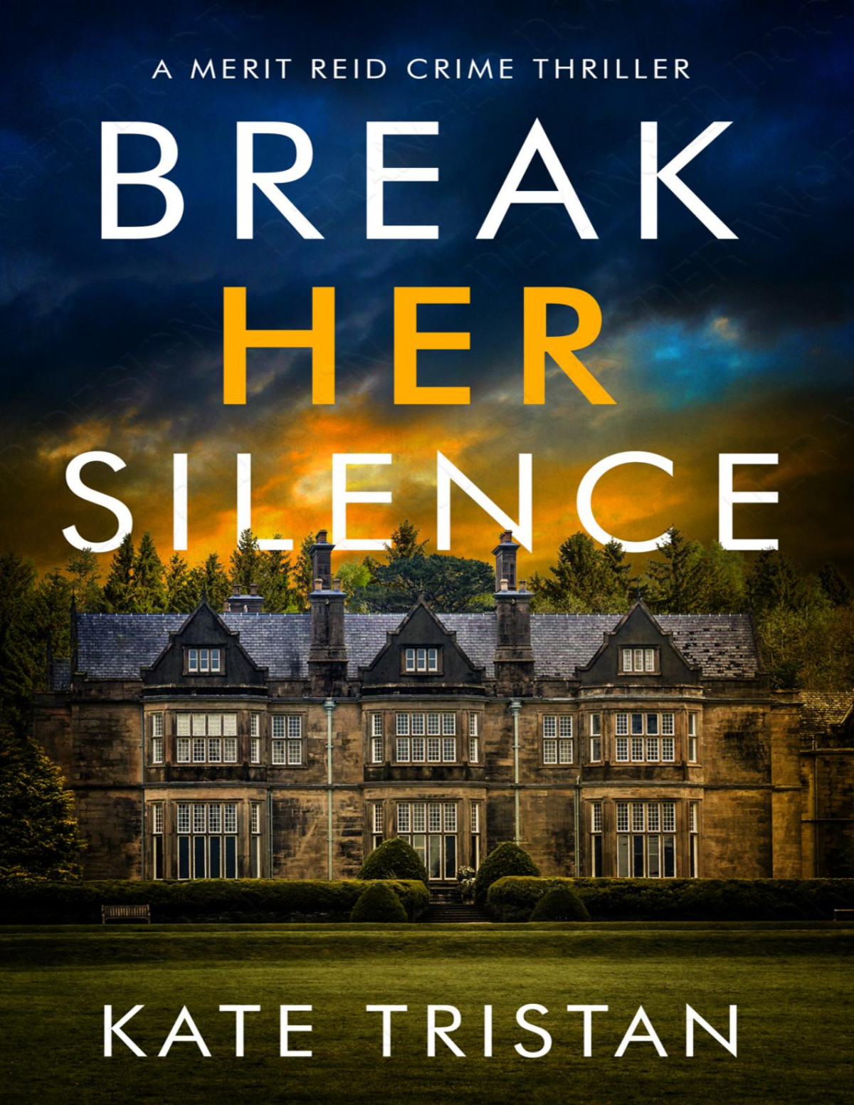 Break Her Silence Kate Tristan