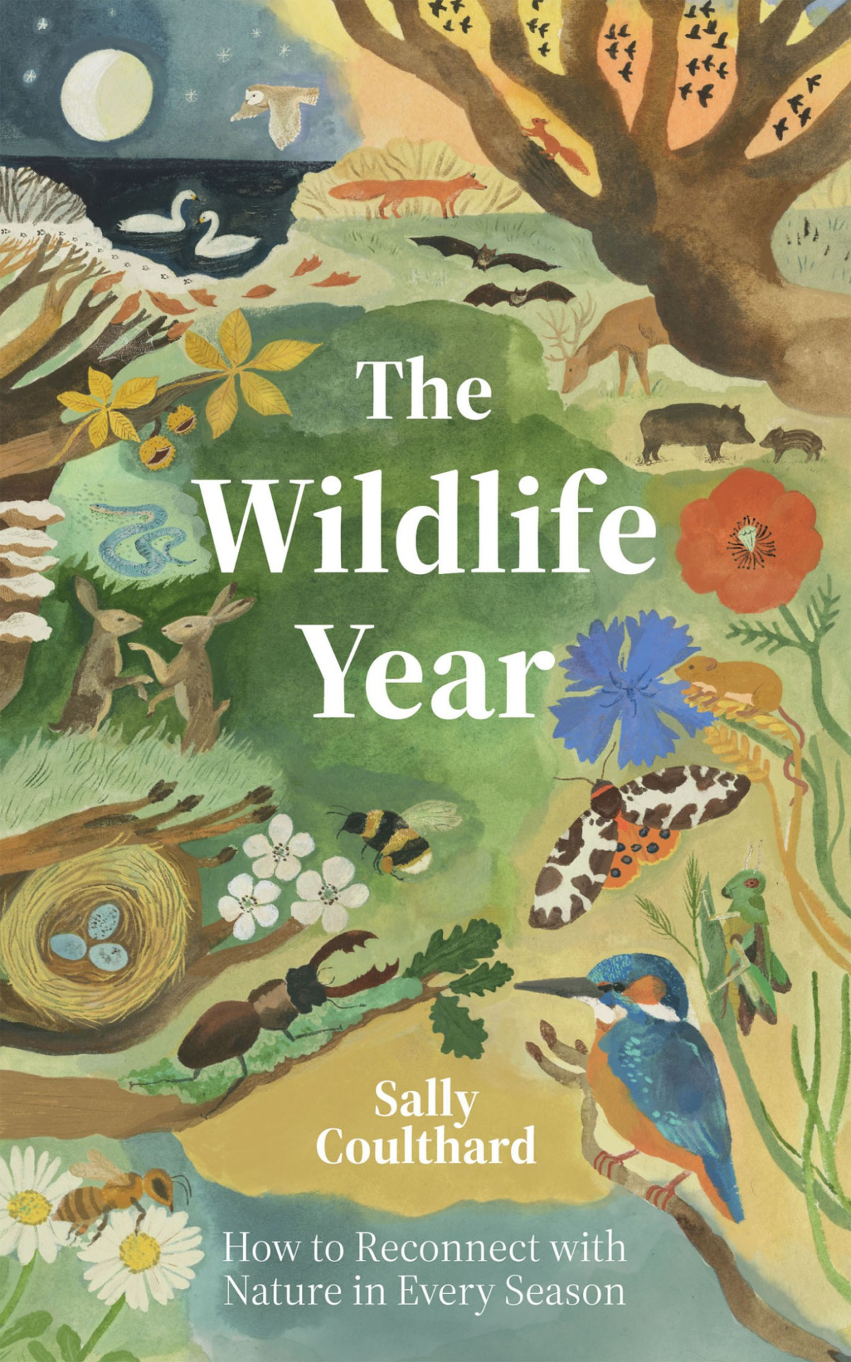 The Wildlife Year How To Reconnect With Nature Through The Seasons Sally Coulthard