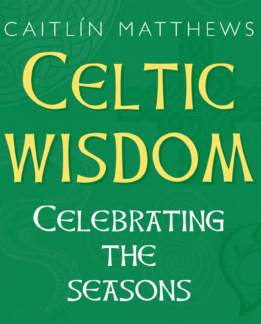 Celtic Wisdom Book Celebrating The Seasons Caitlin Matthews