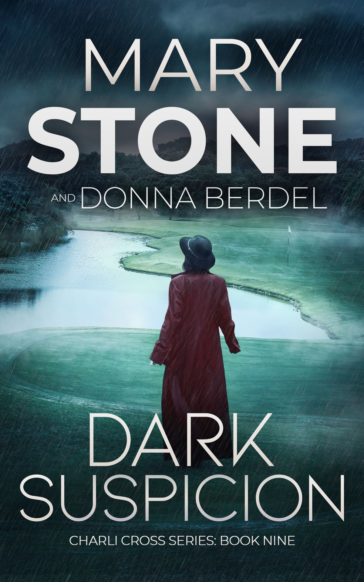 Dark Suspicion Mary Stone