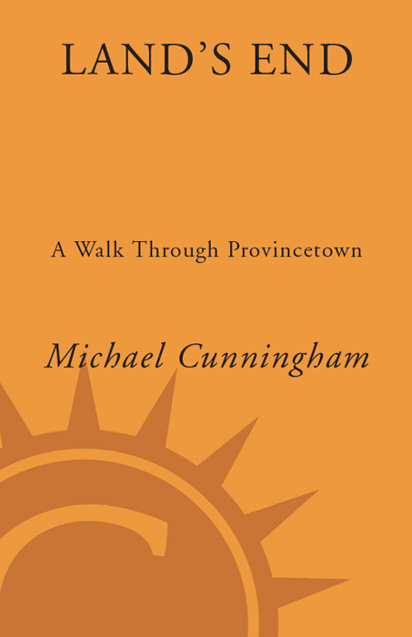 Lands End Michael Cunningham