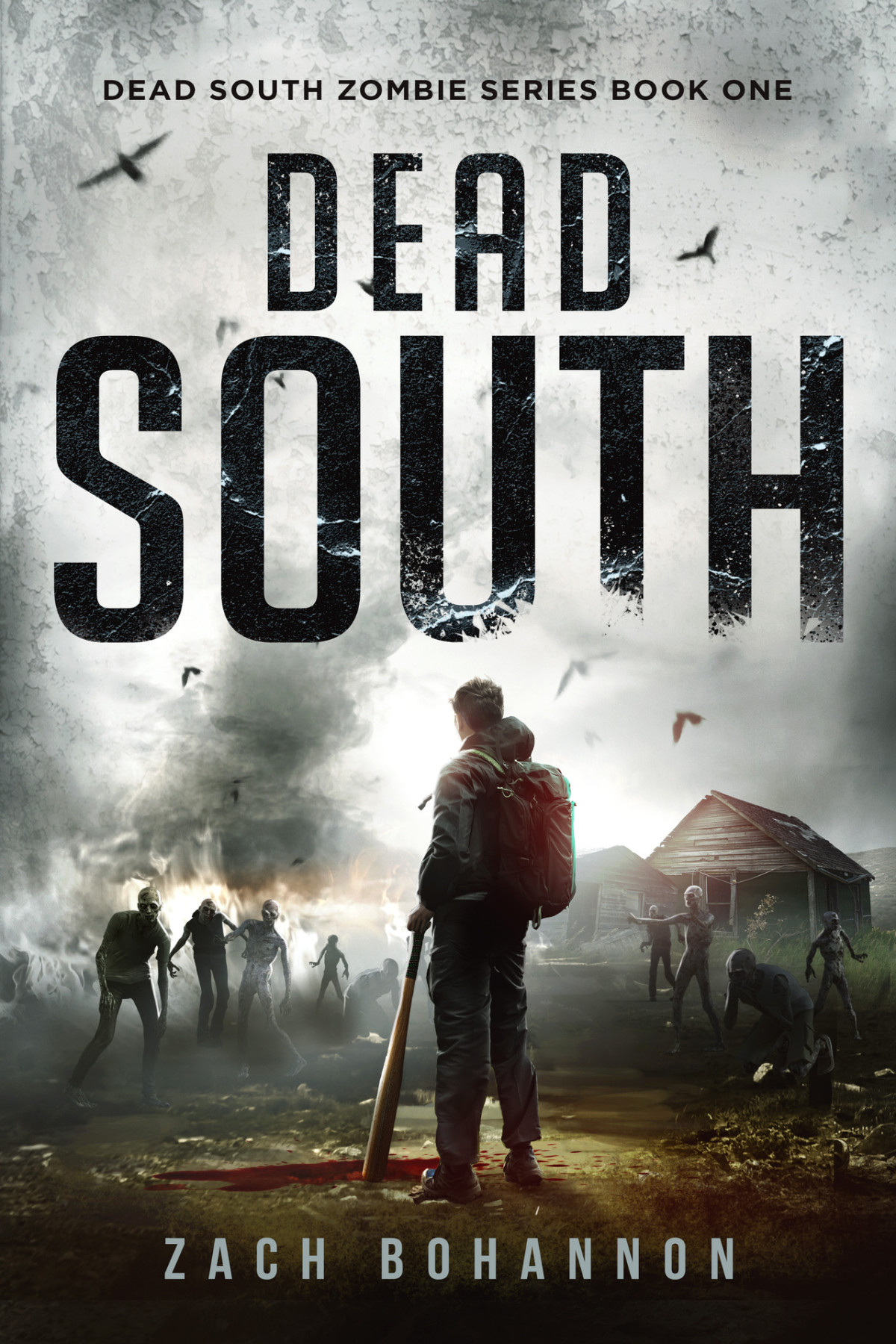 Dead South A Postapocalyptic Zombie Thriller Dead South Book 1 Bohannon