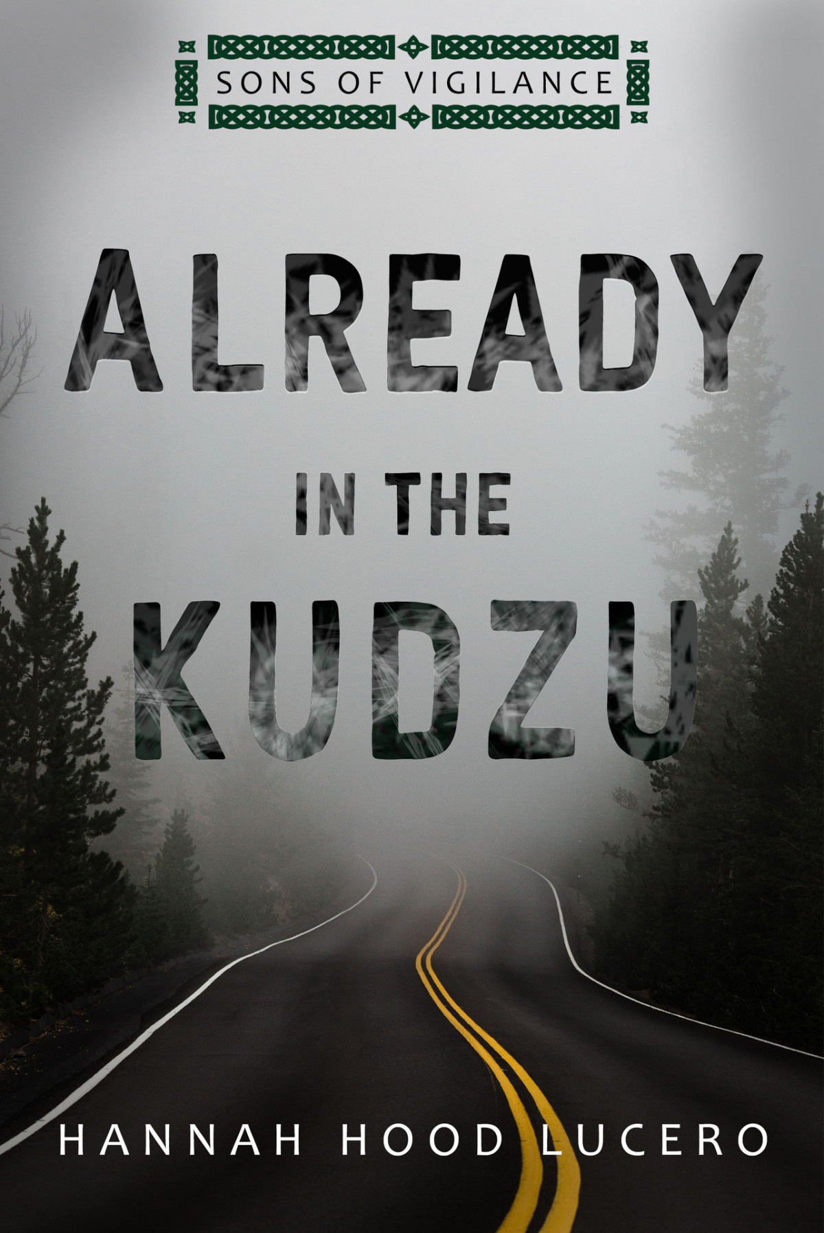 Already In The Kudzu Sons Of Vigilance Book 1 Lucero Hannah Hood