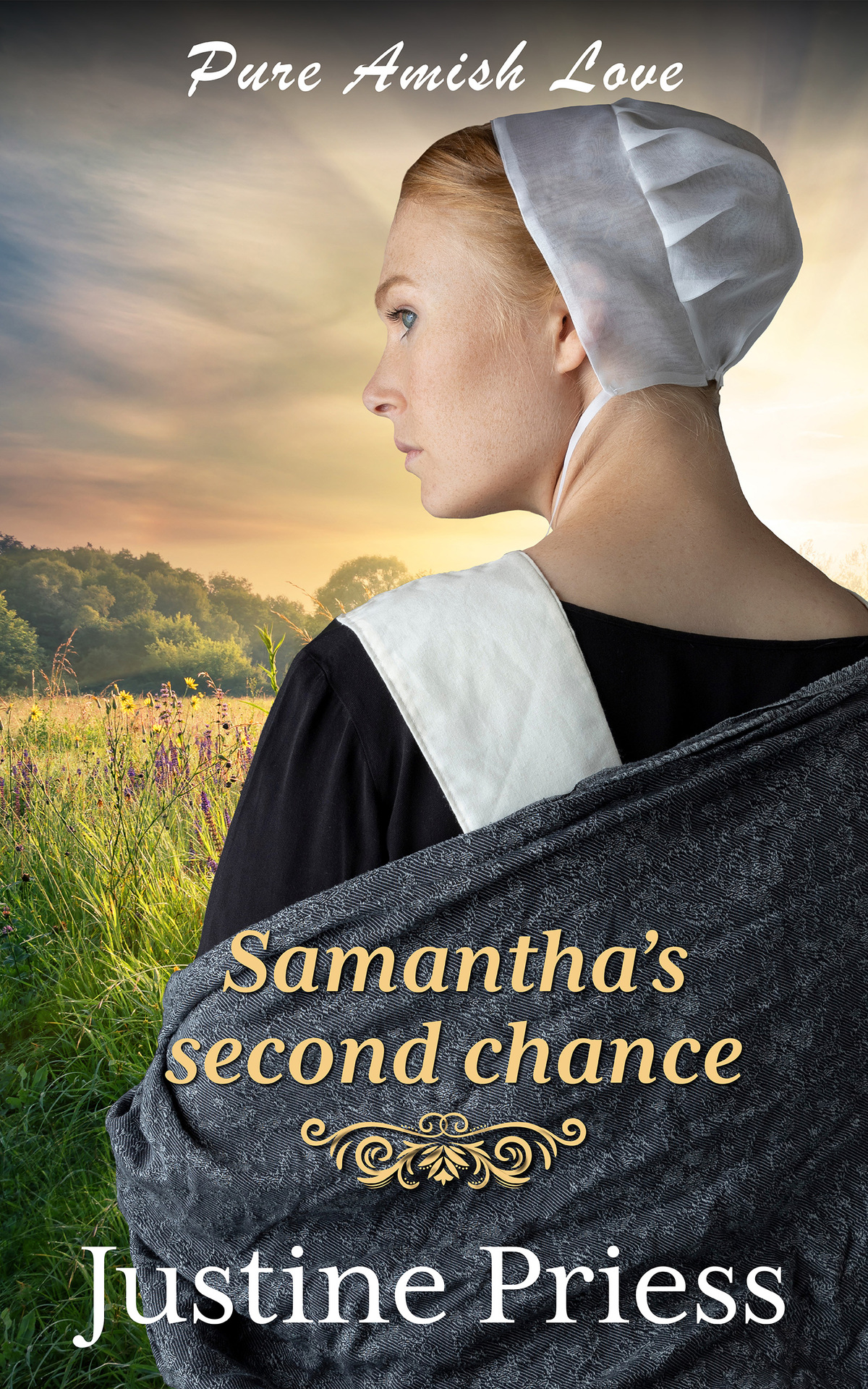 Pa03 Samanthas Second Chance Justine Priess