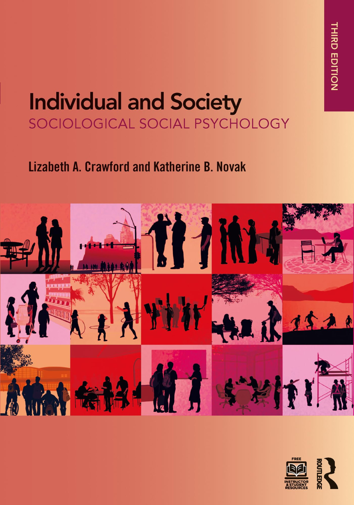 Individual And Society Sociological Social Psychology 3rd Edition Lizabeth A Crawford