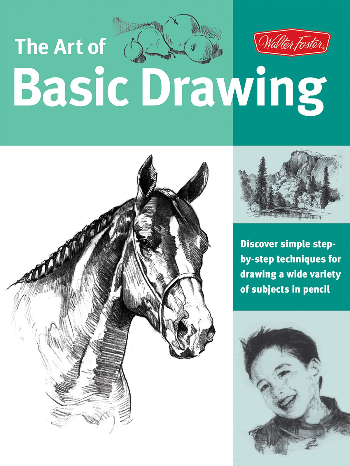 The Art Of Basic Drawing Discover Simple Stepbystep Techniques For Drawing A Wide Variety Of Subjects In Pencil Walter Foster Creative Team