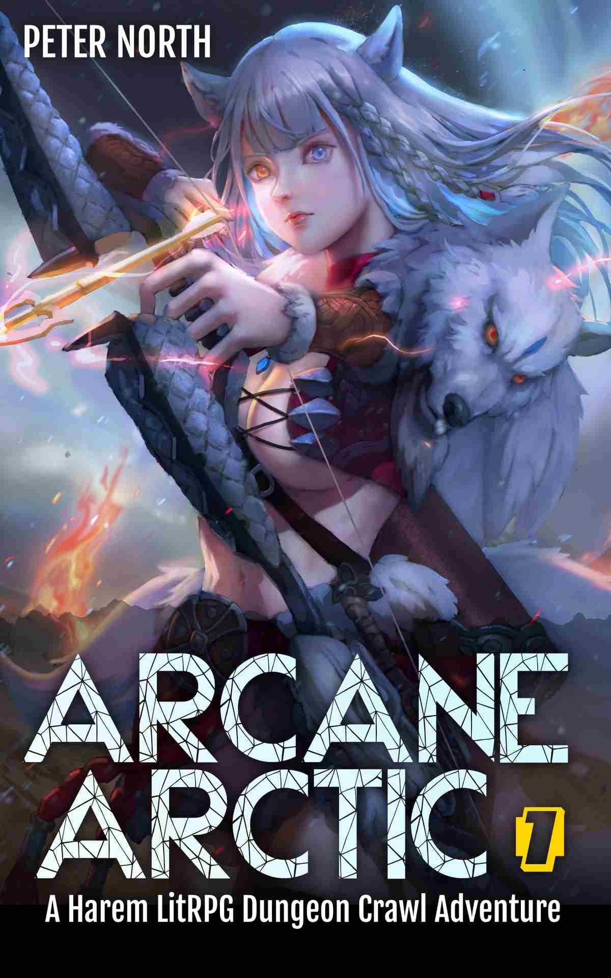 Arcane Arctic 1 A Harem Litrpg Dungeon Crawl Adventure Peter North