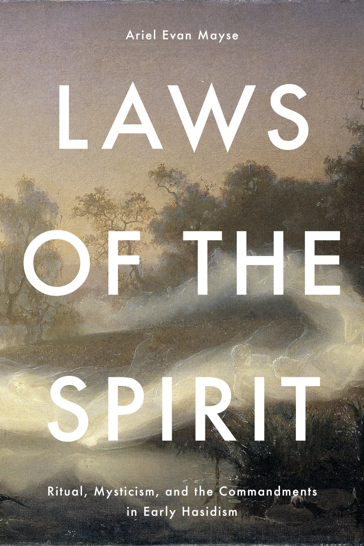 Laws Of The Spirit 1st Edition Ariel Evan Mayse
