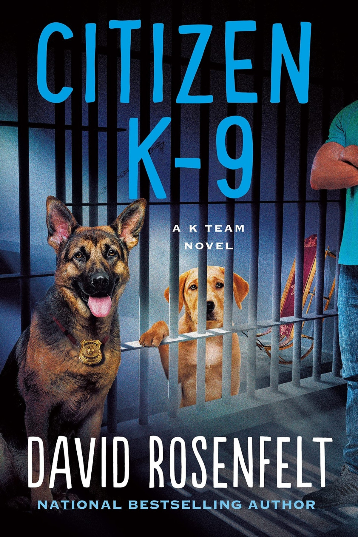Citizen K9 A K Team Novel David Rosenfelt