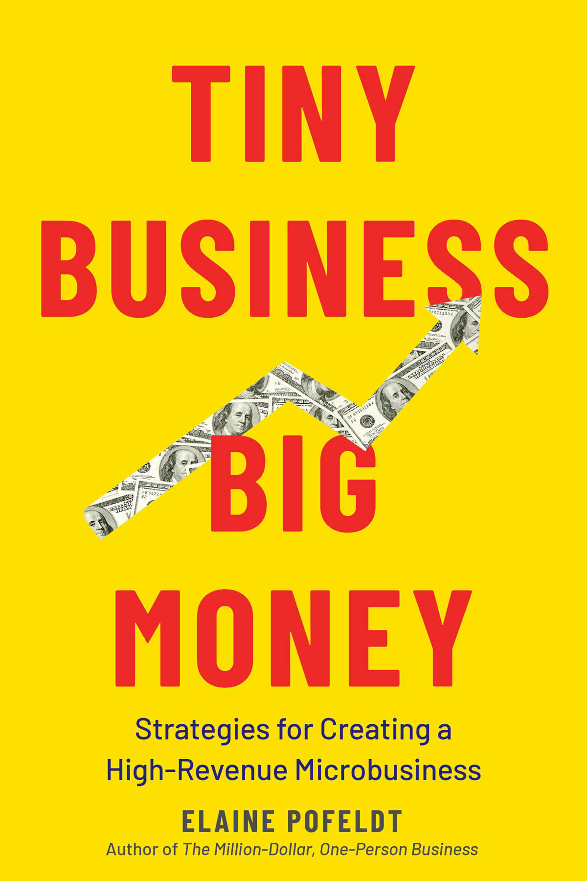 Tiny Business Big Money Elaine Pofeldt