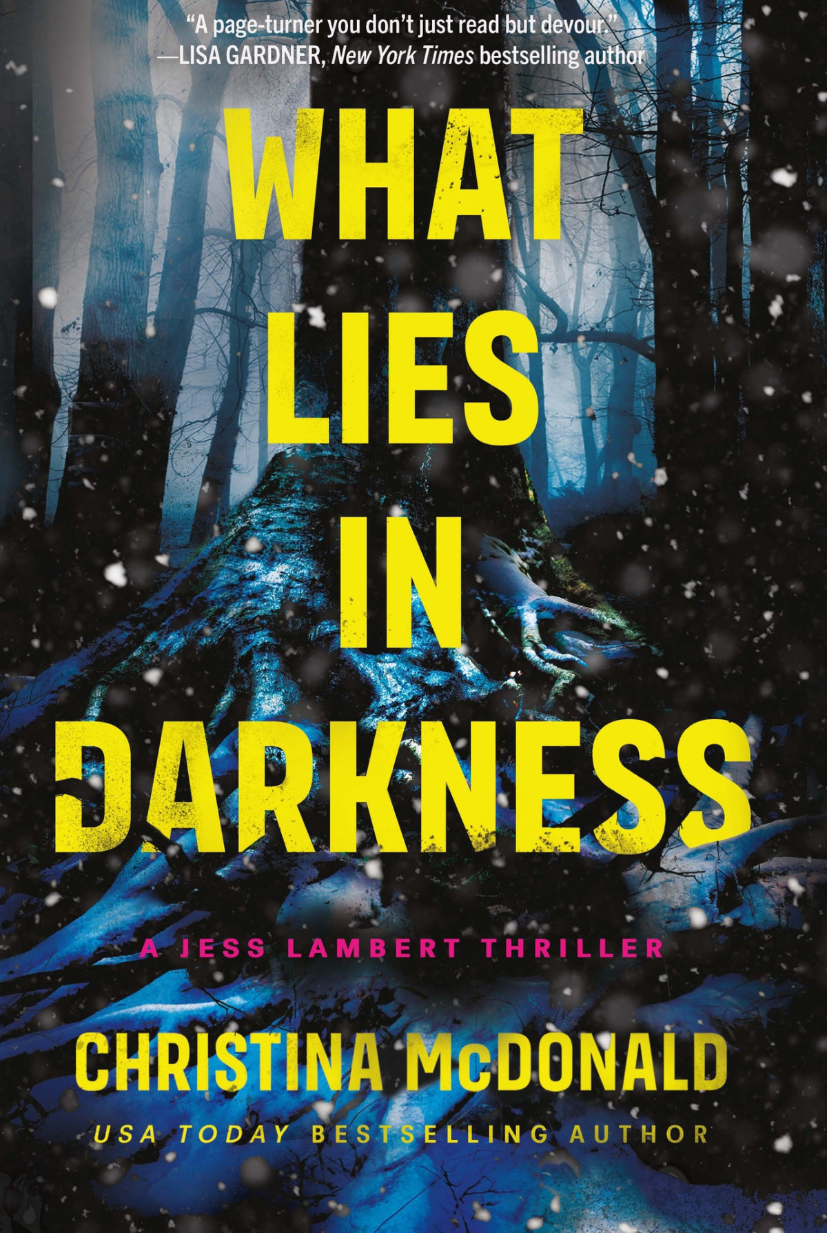 What Lies In Darkness Christina Mcdonald