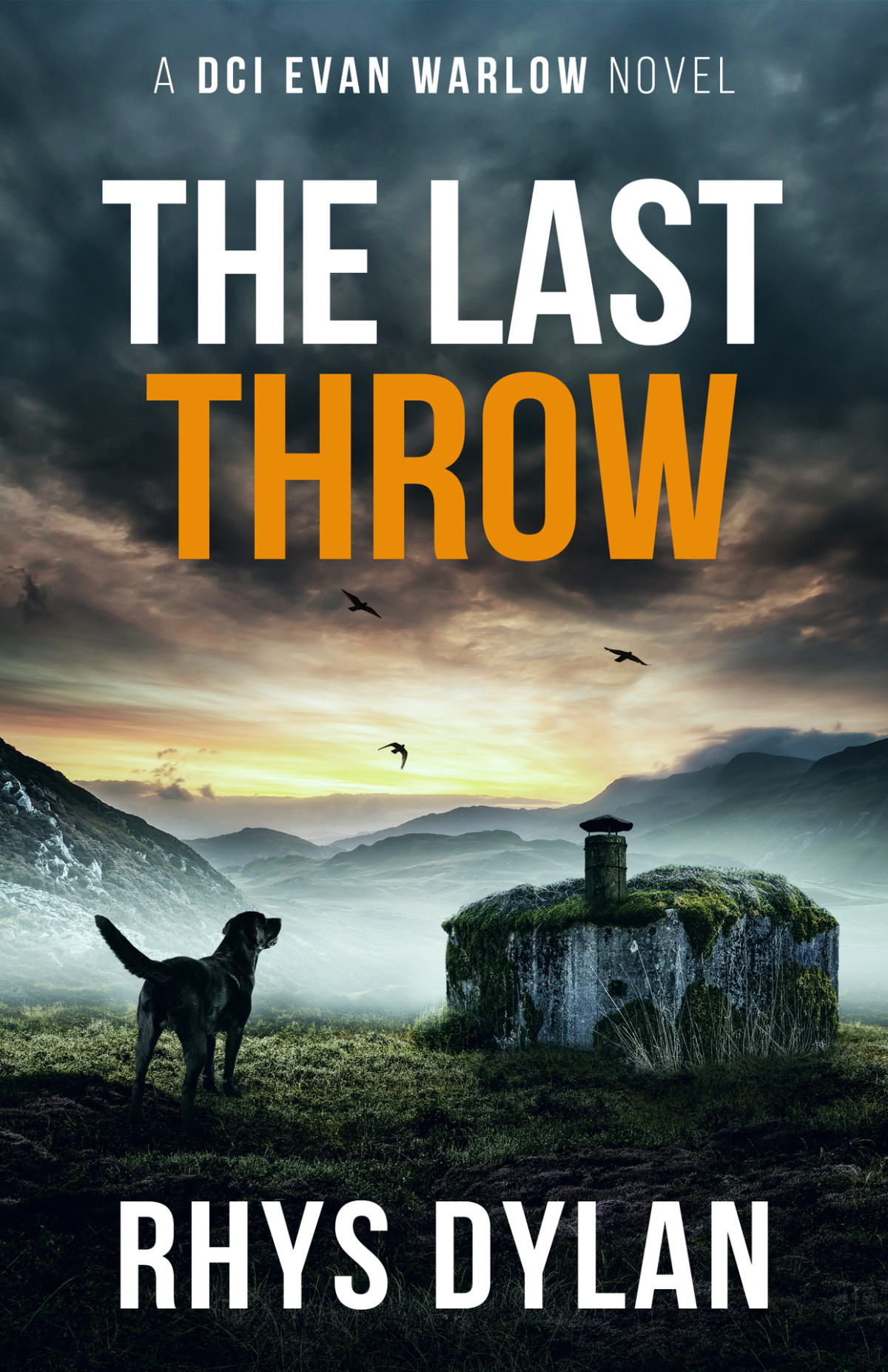 The Last Throw A Black Beacons Murder Mystery Rhys Dylan
