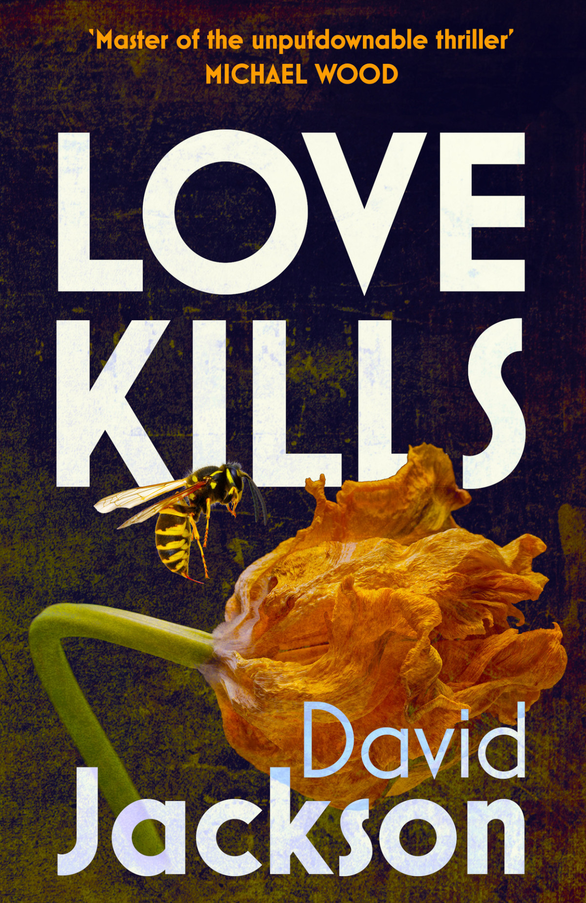 Love Kills David Jackson