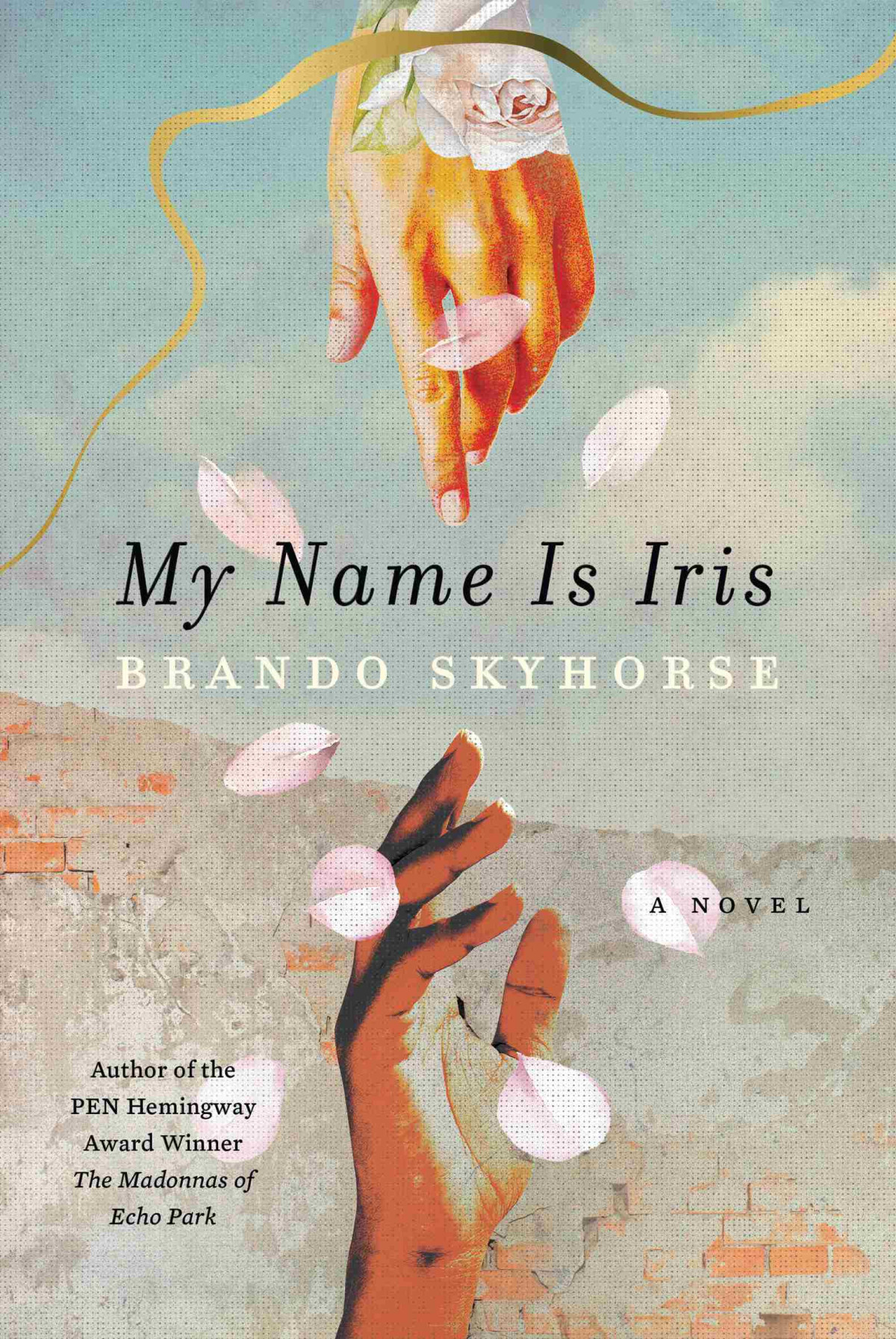 My Name Is Iris A Novel Brando Skyhorse