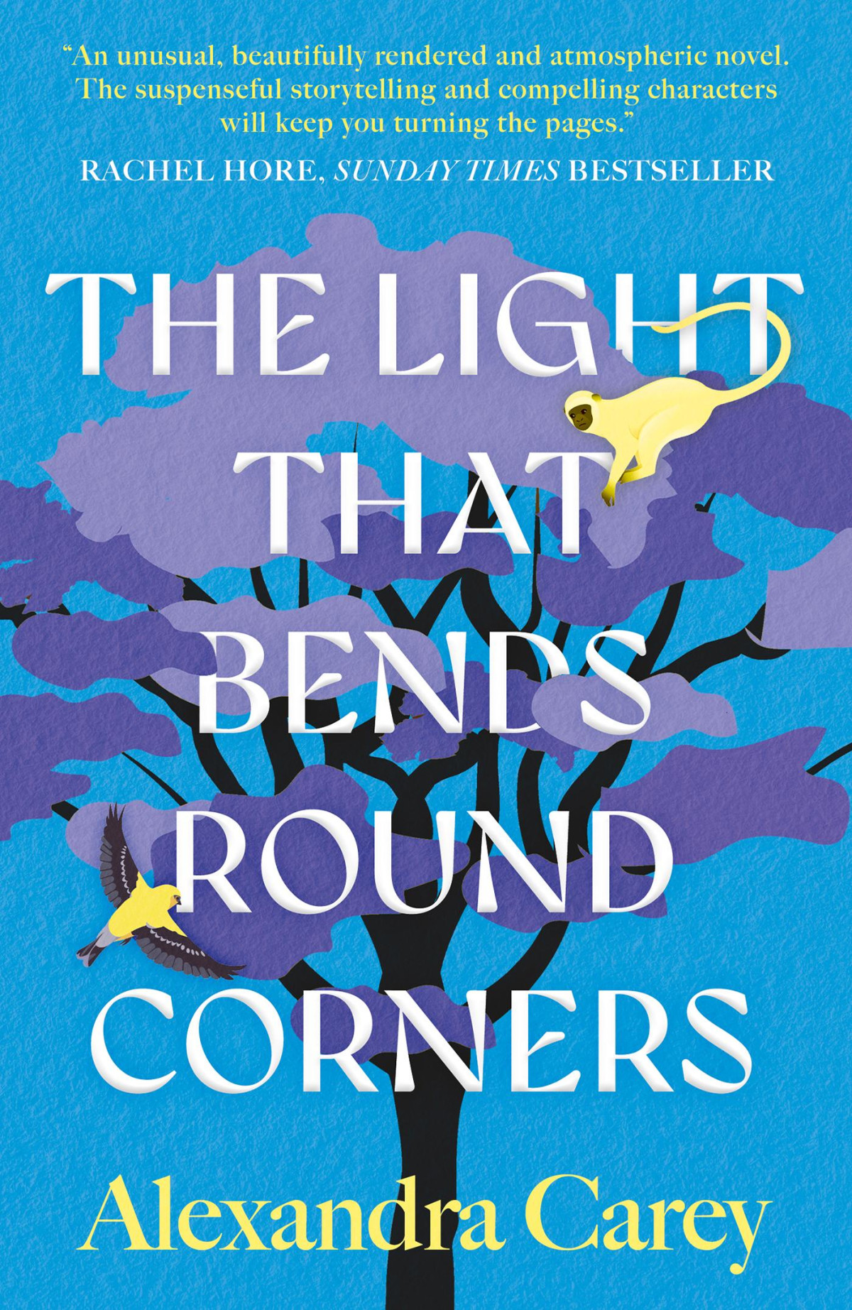 The Light That Bends Round Corners Alexandra Carey