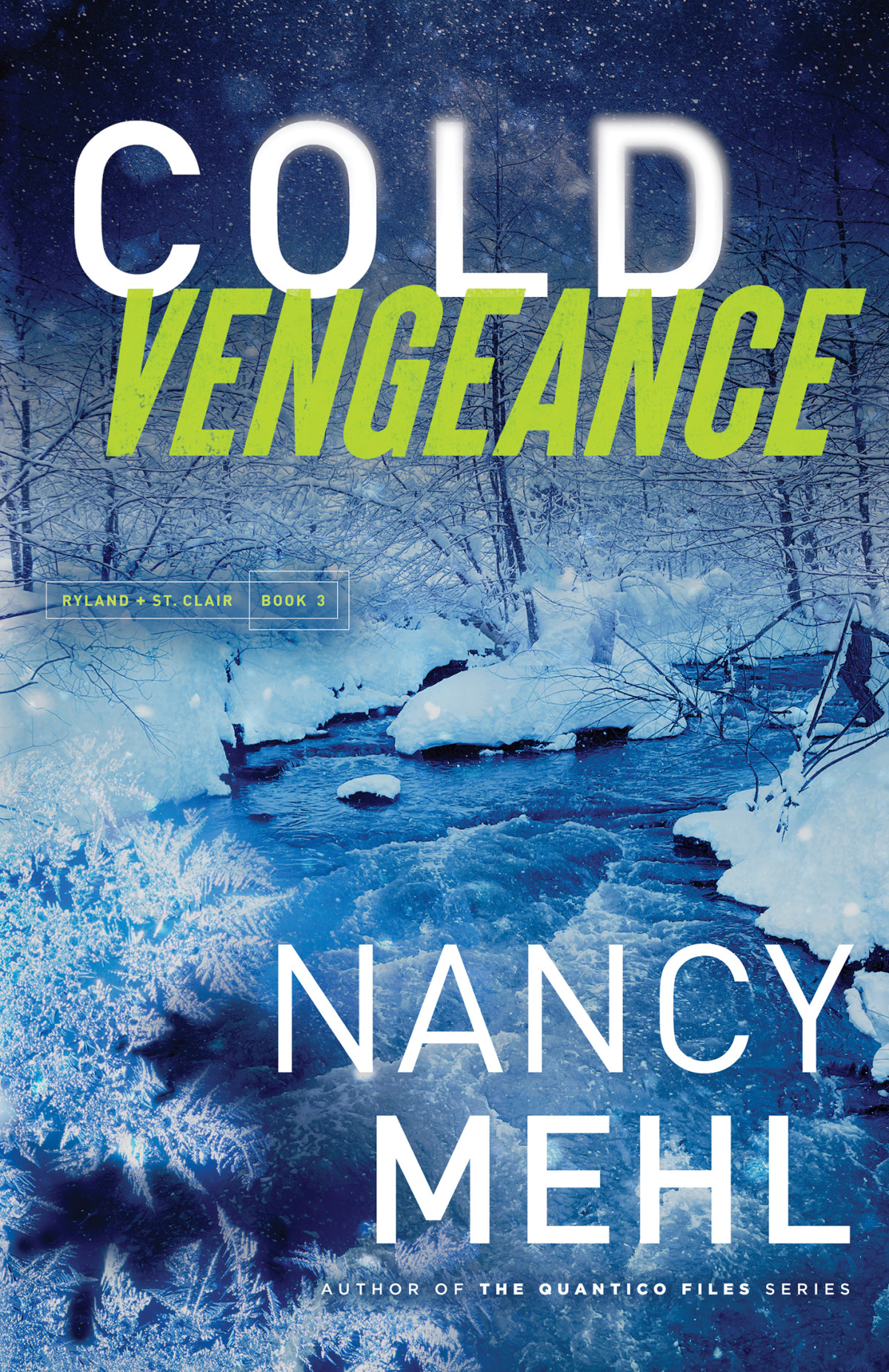 Cold Vengeance Nancy Mehl