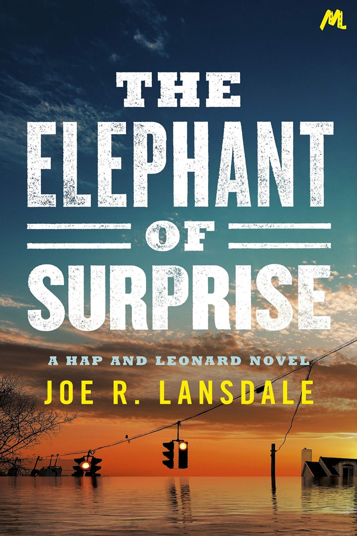 The Elephant Of Surprise Joe R Lansdale
