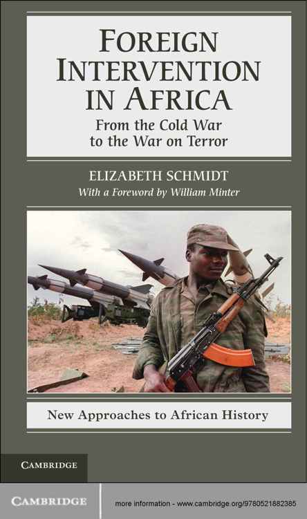 Foreign Intervention In Africa New Approaches To African History 7 Elizabeth Schmidt