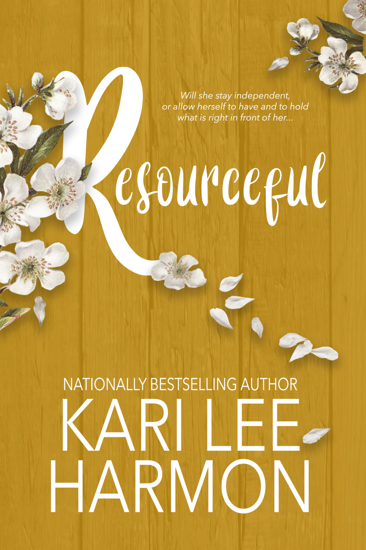 Resourceful Portrait Of A Woman Book 2 Kari Lee Harmon