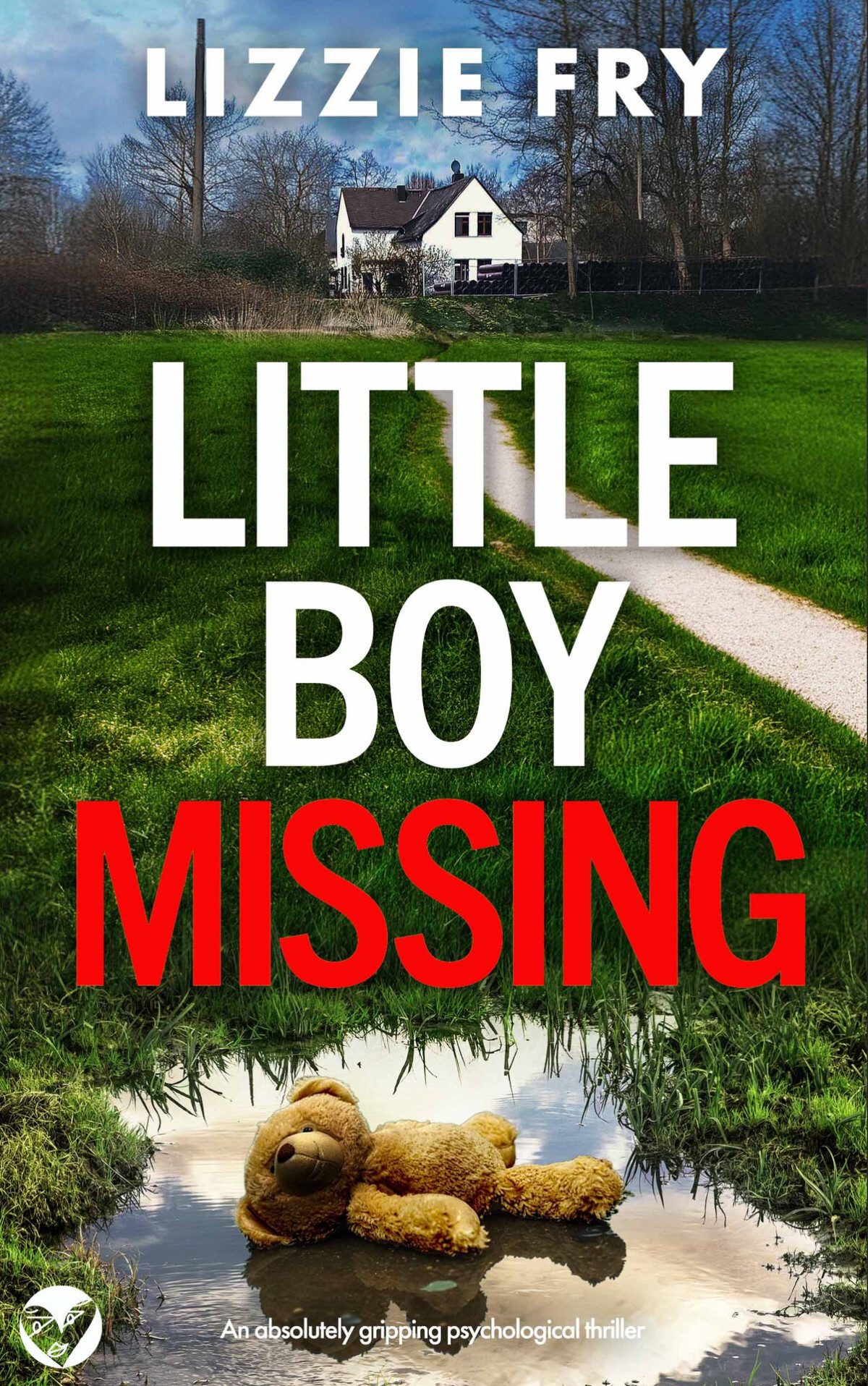 Little Boy Missing A Brand New Absolutely Gripping Psychological Thriller Lizzie Fry
