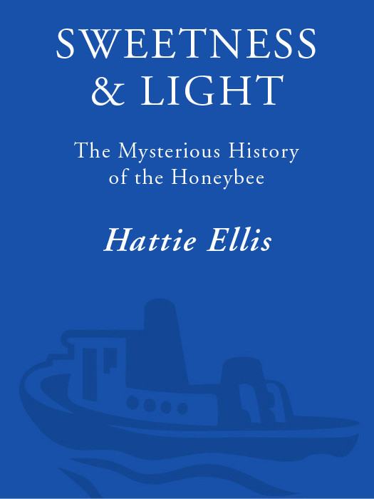 Sweetness And Light Hattie Ellis