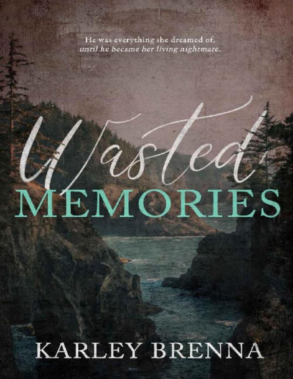 Wasted Memories Karley Brenna